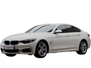 Эва-коврики на BMW 4 (F36) Gran coupe liftback 2013 - 2020